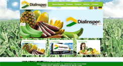 Desktop Screenshot of dialinspec.com