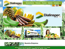 Tablet Screenshot of dialinspec.com